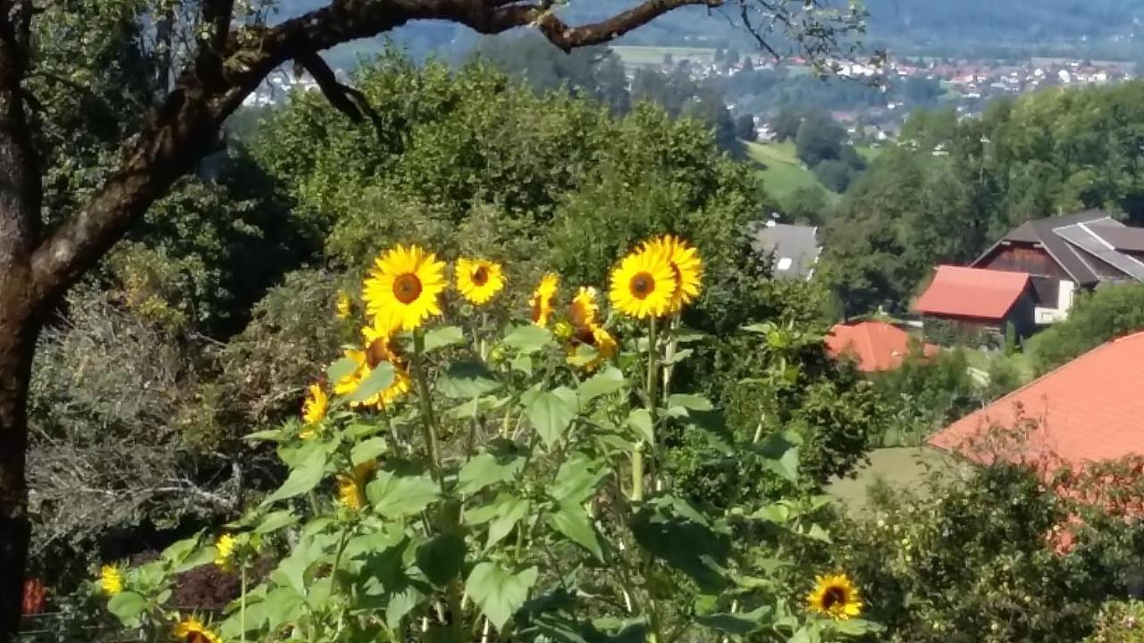 Muellnerhaus Apartamento Millstatt Exterior foto